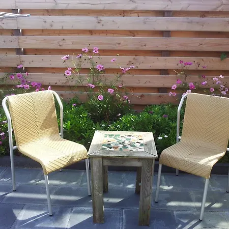 Bij Aelita Проживание в семье *