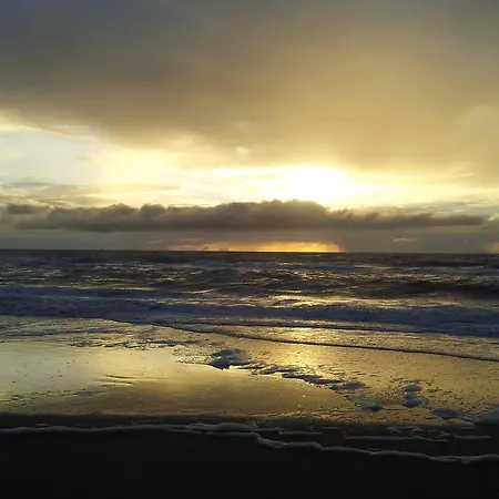 Bij Aelita ホームステイ *